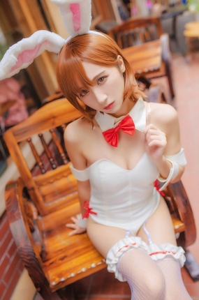 风之领域写真 No.185 兔女郎女仆